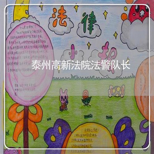 泰州高新法院法警队长