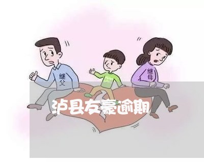泸县友豪逾期