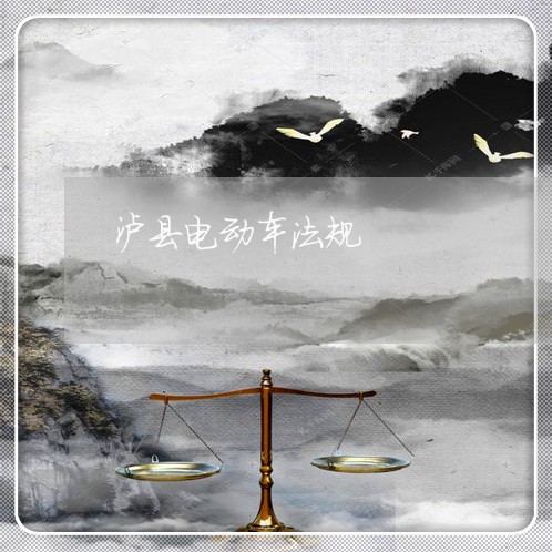 泸县电动车法规 泸县电动车法规