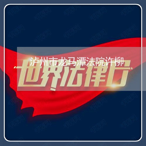 泸州市龙马潭法院许柳
