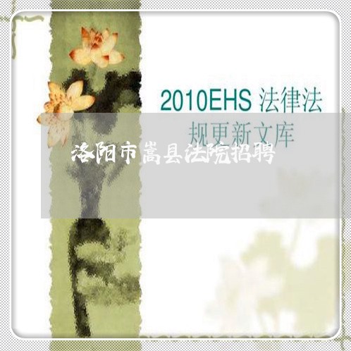 洛阳市嵩县法院招聘 洛阳市嵩县法院招聘