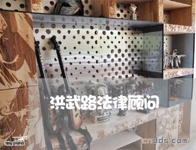 洪武路法律顾问/2023061774703