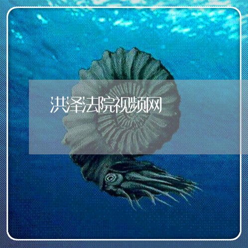 洪泽法院视频网