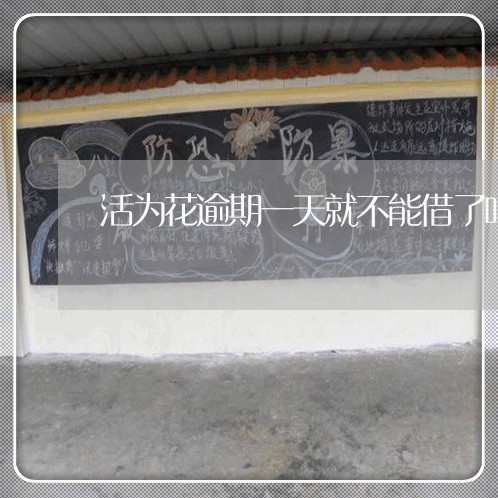 活为花逾期一天就不能借了吗