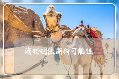 浅析刑法期待可能性 浅析刑法期待可能性