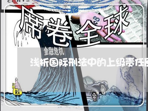 浅析国际刑法中的上级责任原则 浅析国际刑法中的上级责任原则