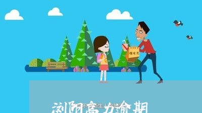 浏阳高力逾期