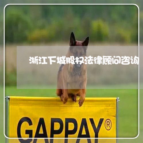 浙江下城股权法律顾问咨询