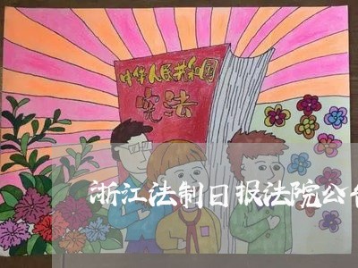 浙江法制日报法院公告查询
