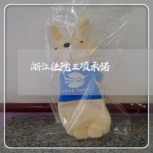 浙江法院三项承诺 浙江法院三项承诺
