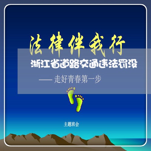 浙江省道路交通违法罚没