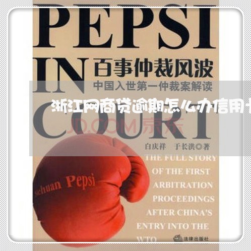 浙江网商贷逾期怎么办信用卡 浙江网商贷逾期怎么办信用卡