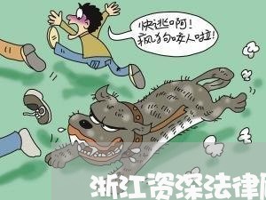 浙江资深法律顾问律师费用/2023061916059