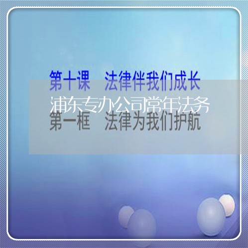 浦东专办公司常年法务 浦东专办公司常年法务
