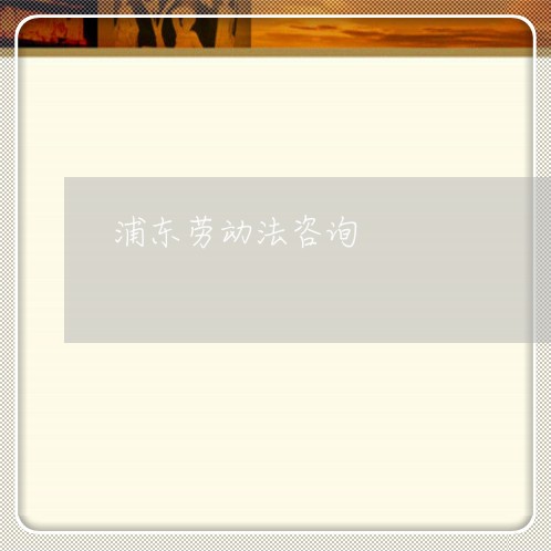 浦东劳动法咨询 浦东劳动法咨询