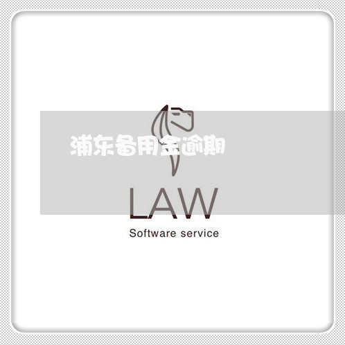 浦东备用金逾期