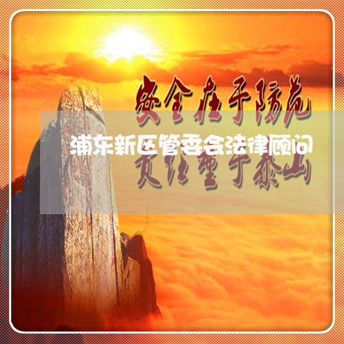 浦东新区管委会法律顾问/2023061973614