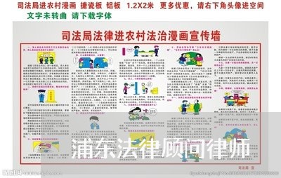 浦东法律顾问律师/2023061703737