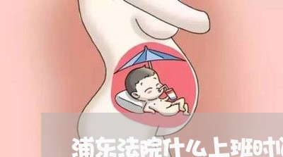 浦东法院什么上班时间 浦东法院什么上班时间