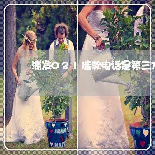 浦发021催款电话是第三方么/2023030138692 浦发021催款电话是第三方么/2023030138692