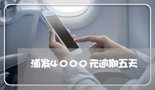 浦发4000元逾期五天/2023062185938