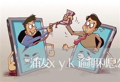 浦发xyk逾期利息公式/2023120951593