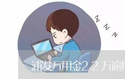 浦发万用金22万逾期一年/2023060545815