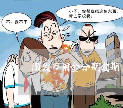 浦发万用金分期逾期了被催/2023042123960