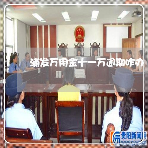 浦发万用金十一万逾期咋办 浦发万用金十一万逾期咋办