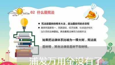 浦发万用金没有了/2023020530416