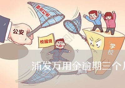 浦发万用金逾期三个月跑路/2023062750601