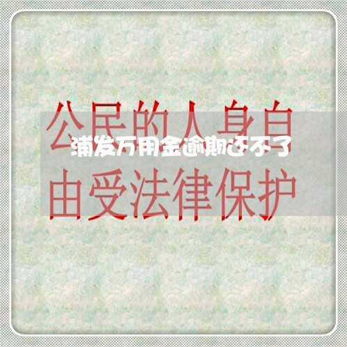 浦发万用金逾期还不了