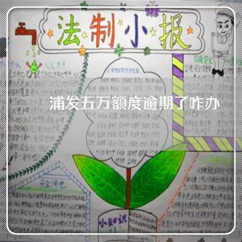 浦发五万额度逾期了咋办 浦发五万额度逾期了咋办