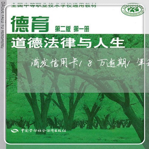 浦发信用卡18万逾期1年利息/2023012999926