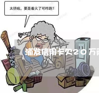 浦发信用卡欠20万两年 浦发信用卡欠20万两年