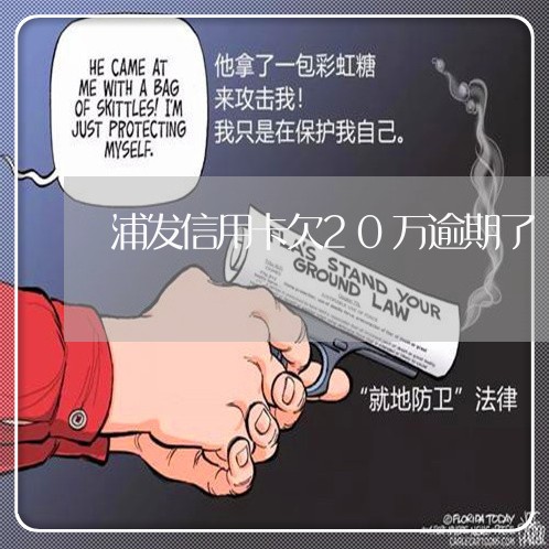 浦发信用卡欠20万逾期了/2023060448372