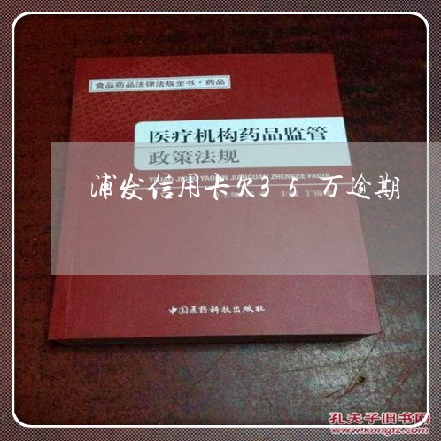 浦发信用卡欠35万逾期/2023021537582