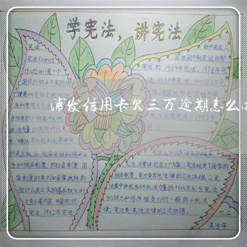 浦发信用卡欠三万逾期怎么办