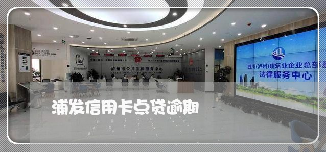 浦发信用卡点贷逾期/2023032281949