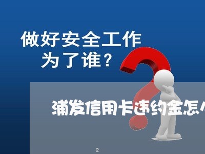 浦发信用卡违约金怎么算的/2023100848371