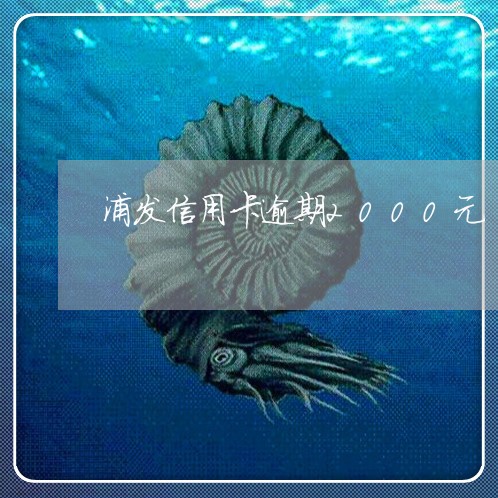 浦发信用卡逾期2000元/2023062204815