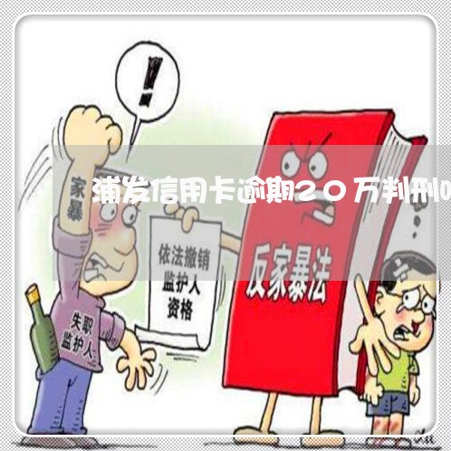 浦发信用卡逾期20万判刑吗/2023022748581 浦发信用卡逾期20万判刑吗/2023022748581
