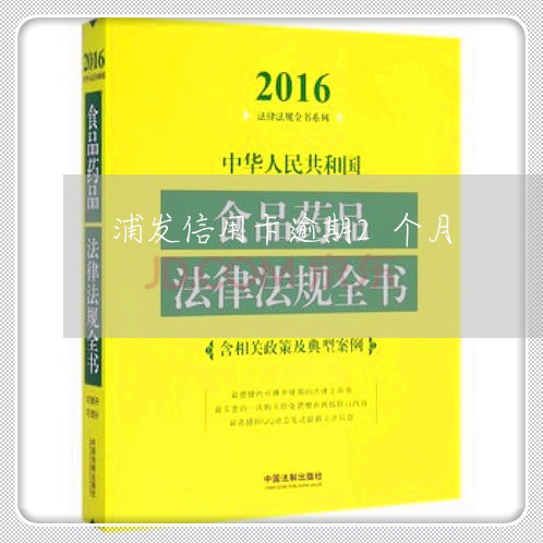 浦发信用卡逾期2个月/2023092428268