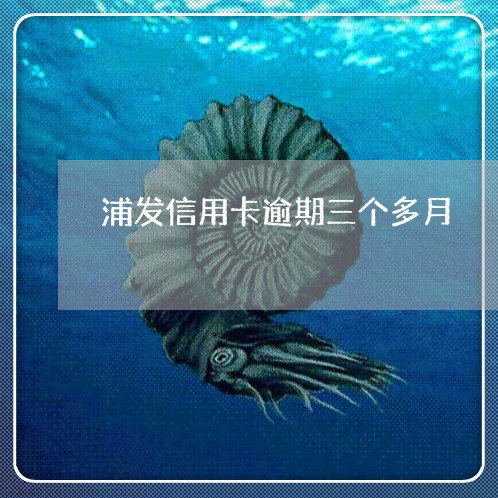 浦发信用卡逾期三个多月