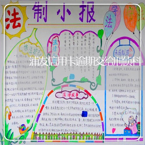 浦发信用卡逾期交给刑侦科 浦发信用卡逾期交给刑侦科