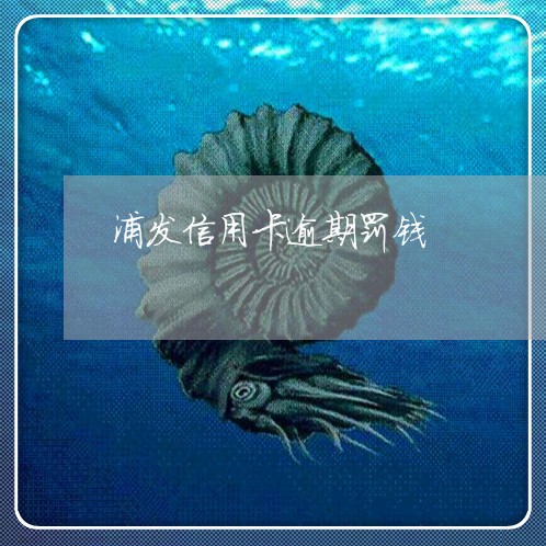 浦发信用卡逾期罚钱/2023121696938