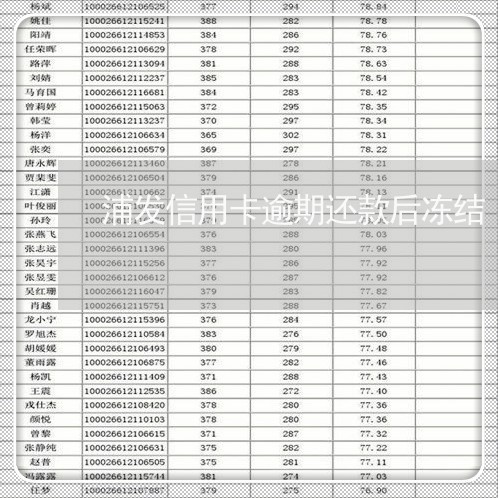 浦发信用卡逾期还款后冻结/2023020461352