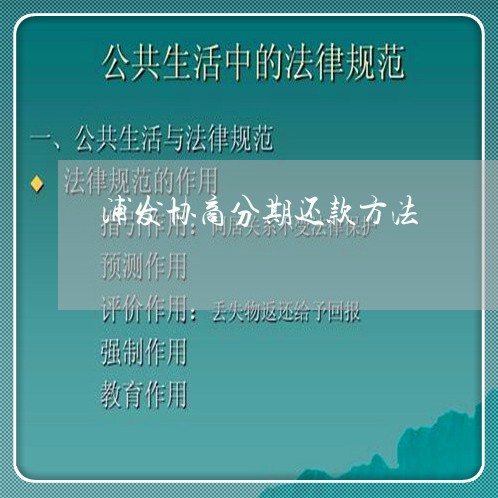 浦发协商分期还款方法/2023110860834