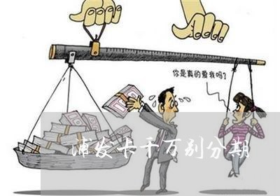 浦发卡千万别分期/2023030113016