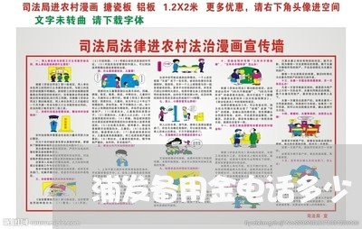 浦发备用金电话多少/2023020902297